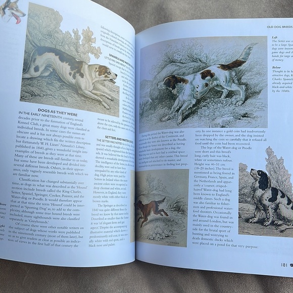 The Encyclopedia of DOG Breeds Book by Juliette Cunliffe championship dog judge - Picture 9 of 16